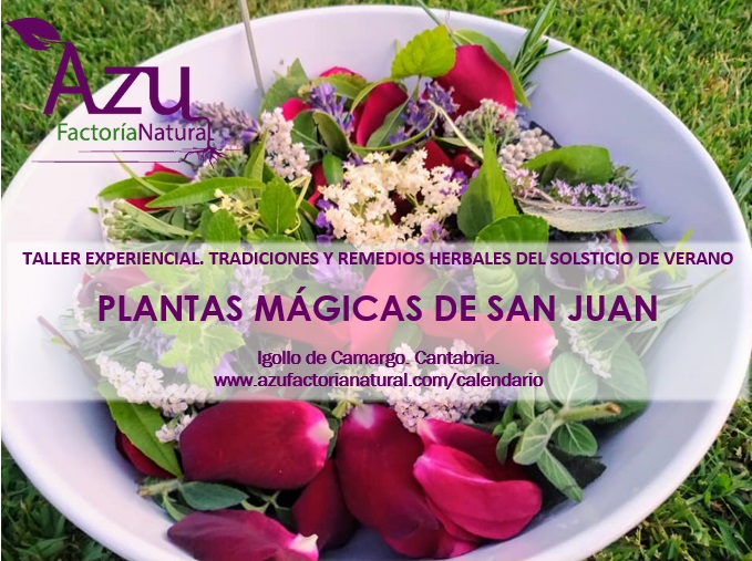 taller plantas magicas de san juan