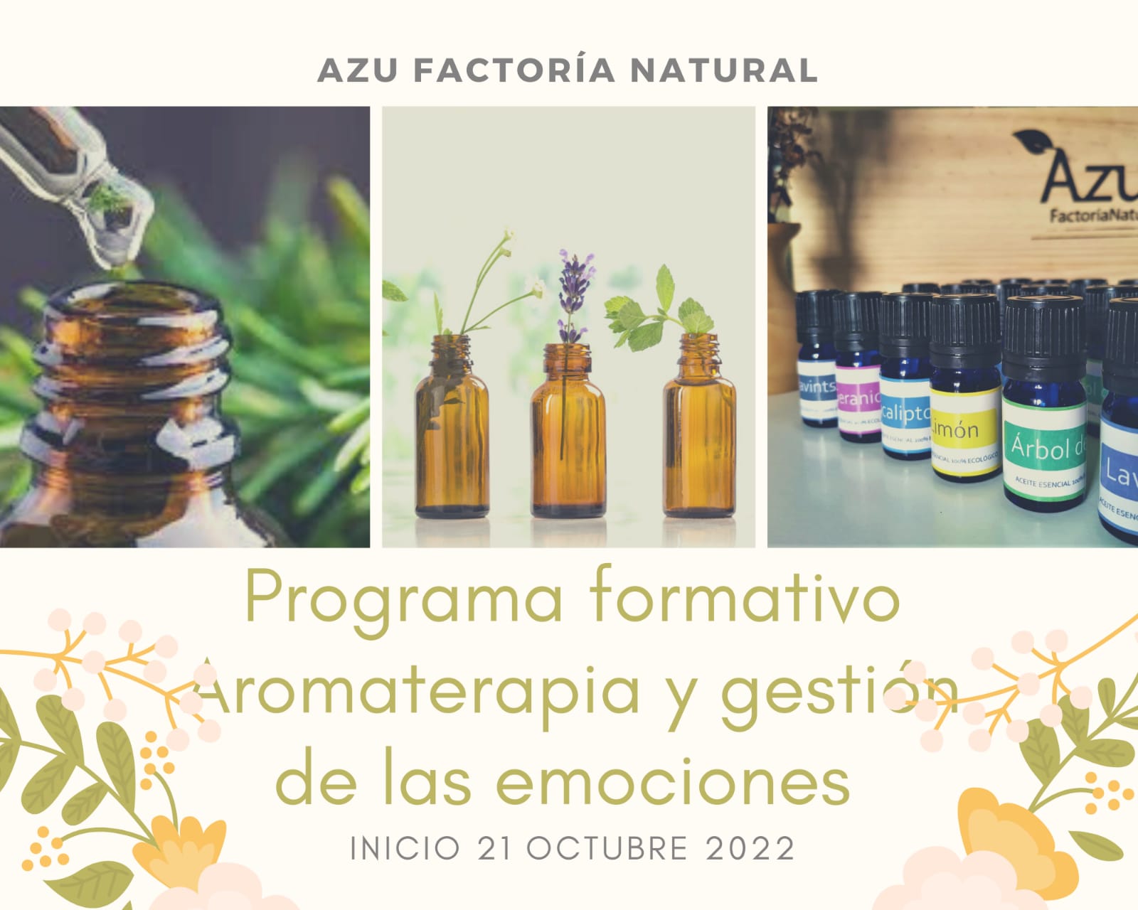 taller aromaterapia y gestion emociones