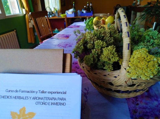 22b12490-8d4f-4e97-86ca-30093ba402d9