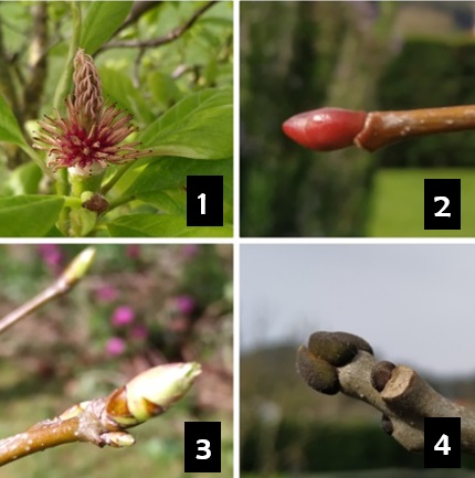 concurso primaveral 4 para respuestas