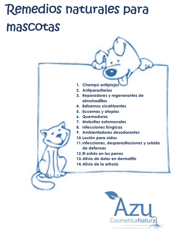 guion contenidos taller mascotas